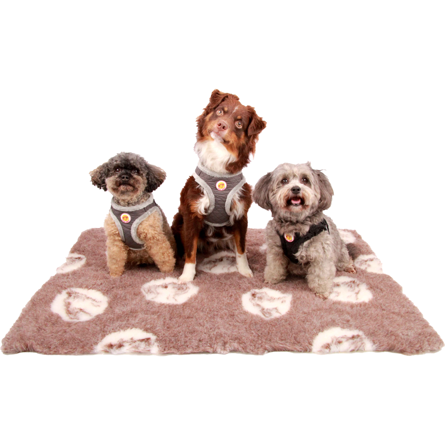 Brustgeschirr – Soft&Style – Schwarz StyleSnout GmbH