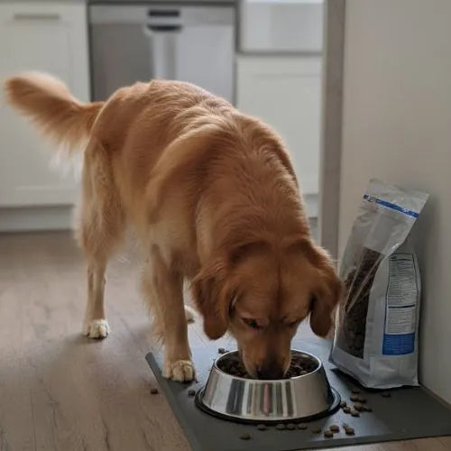 Eurital Dog Choice- Schwein mit Süßkartoffel und Apfel Eurital