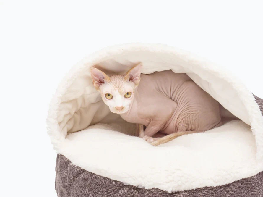 COVER Katzenhöhle aus Kunstfell und Möbelvelour / orthöpedisches Katzenbett / Memory Foam / Handgefertigt HARLEY & CHO