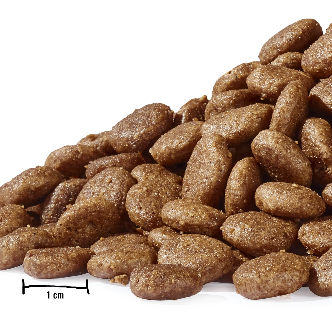 Dogs’n Tiger Adult Premium Katzenfutter – Trockenfutter Schlemmermäulchen, getreidefrei, mit Truthahn & Lachs, 75 % Fleischanteil Dogs'n Tiger