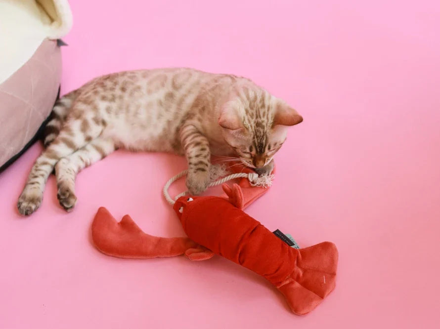 LOBSTER SEBASTIAN Katzenspielzeug / interaktives Plüschtier / sanftes Rascheln HARLEY & CHO