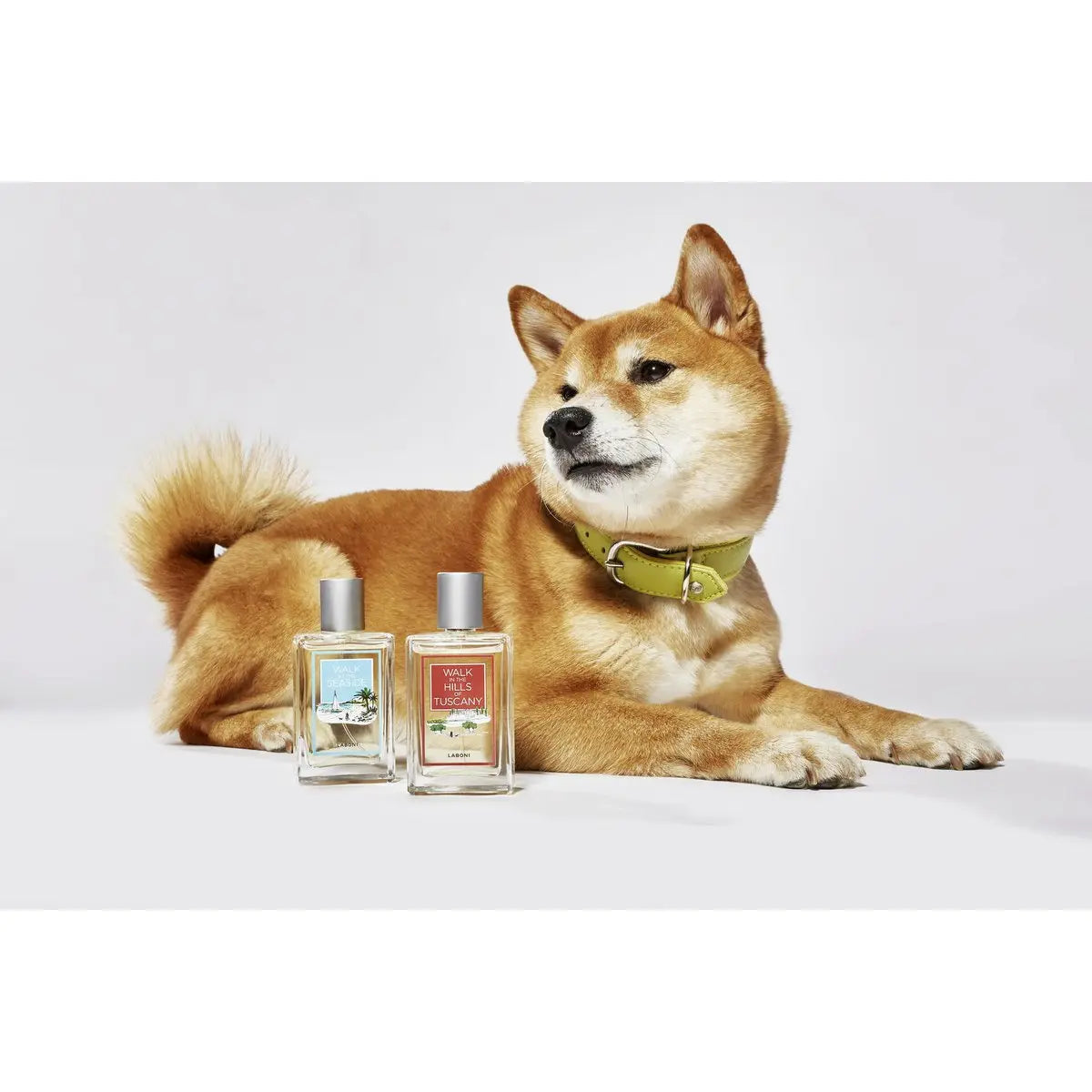 LABONI FRAGRANCE - Edles Raumduft-Set zum Probierpreis LABONI