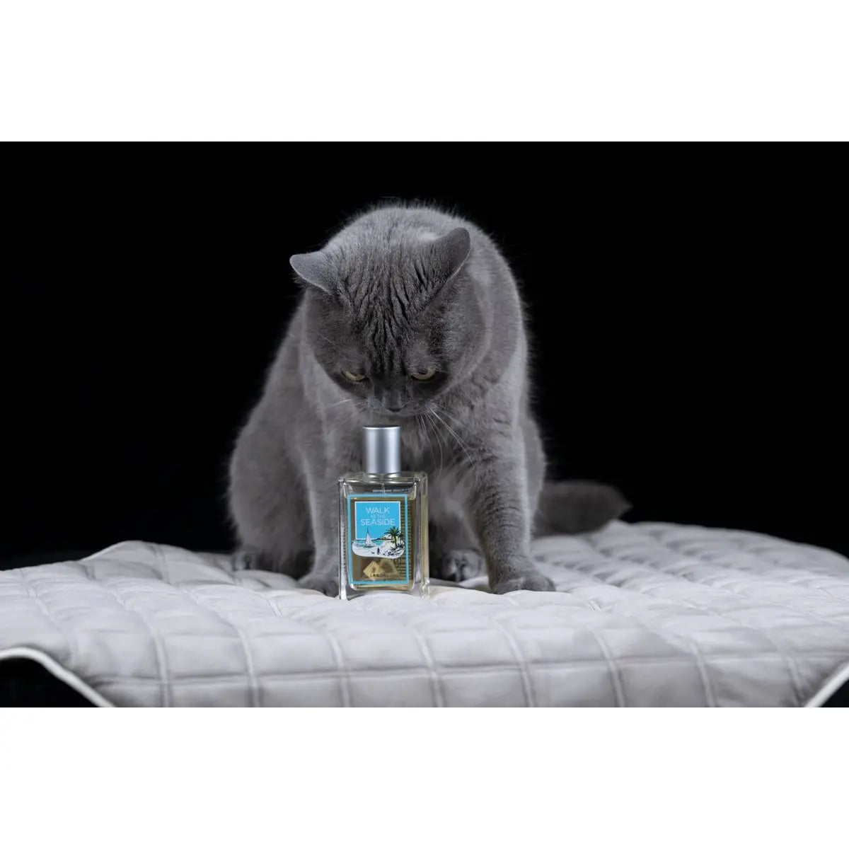 LABONI FRAGRANCE - Edles Raumduft-Set zum Probierpreis LABONI