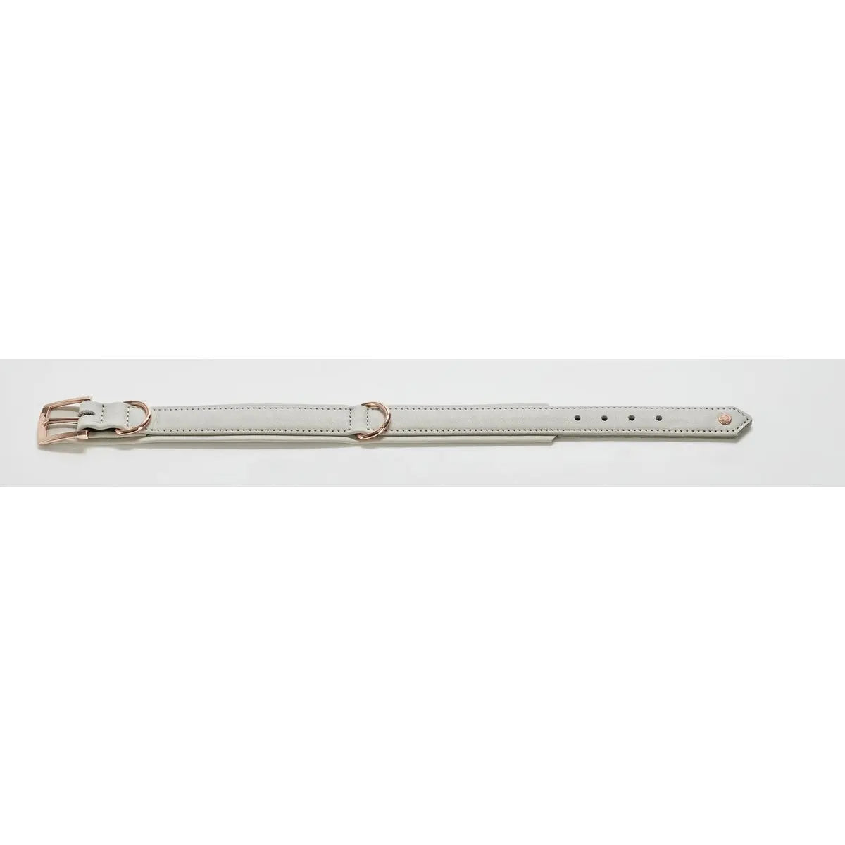 AMICI Dog Collar Light Grey LABONI
