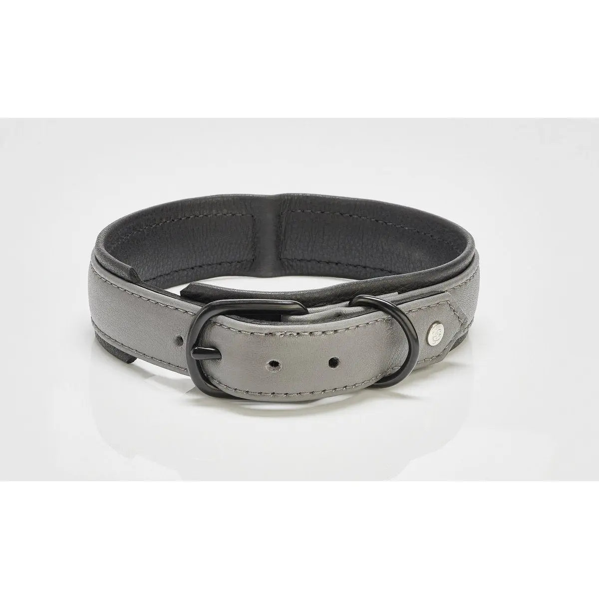 AMICI Anthrazit - Stilvolles Nappa-Halsband für modebewusste Hundefreunde LABONI