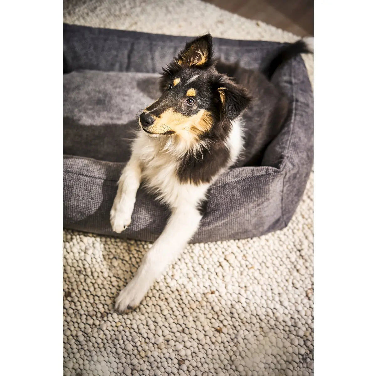 CLASSIC Hundebett - TUDOR ANTHRAZIT LABONI