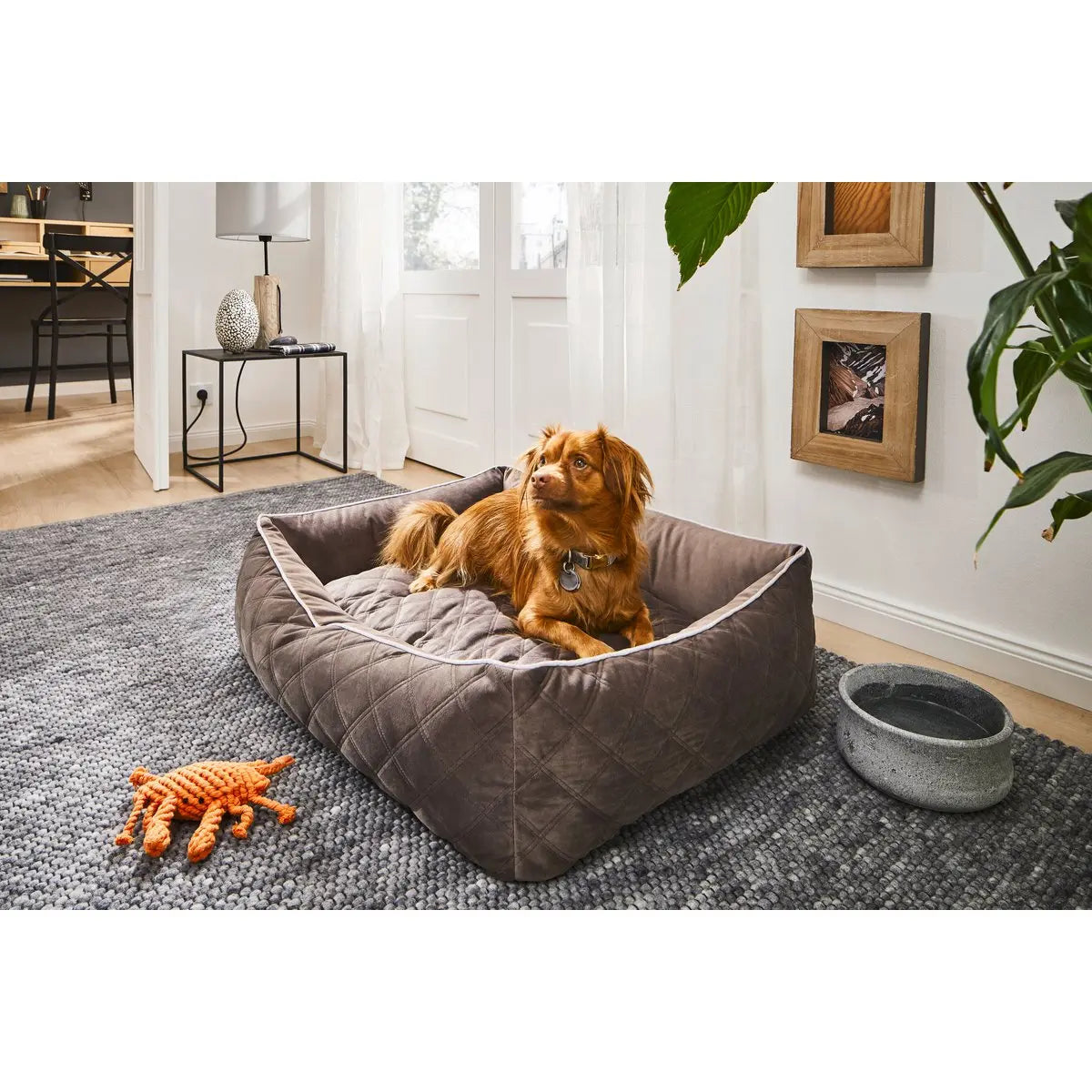 CLASSIC Hundebett - OXFORD STONE LABONI