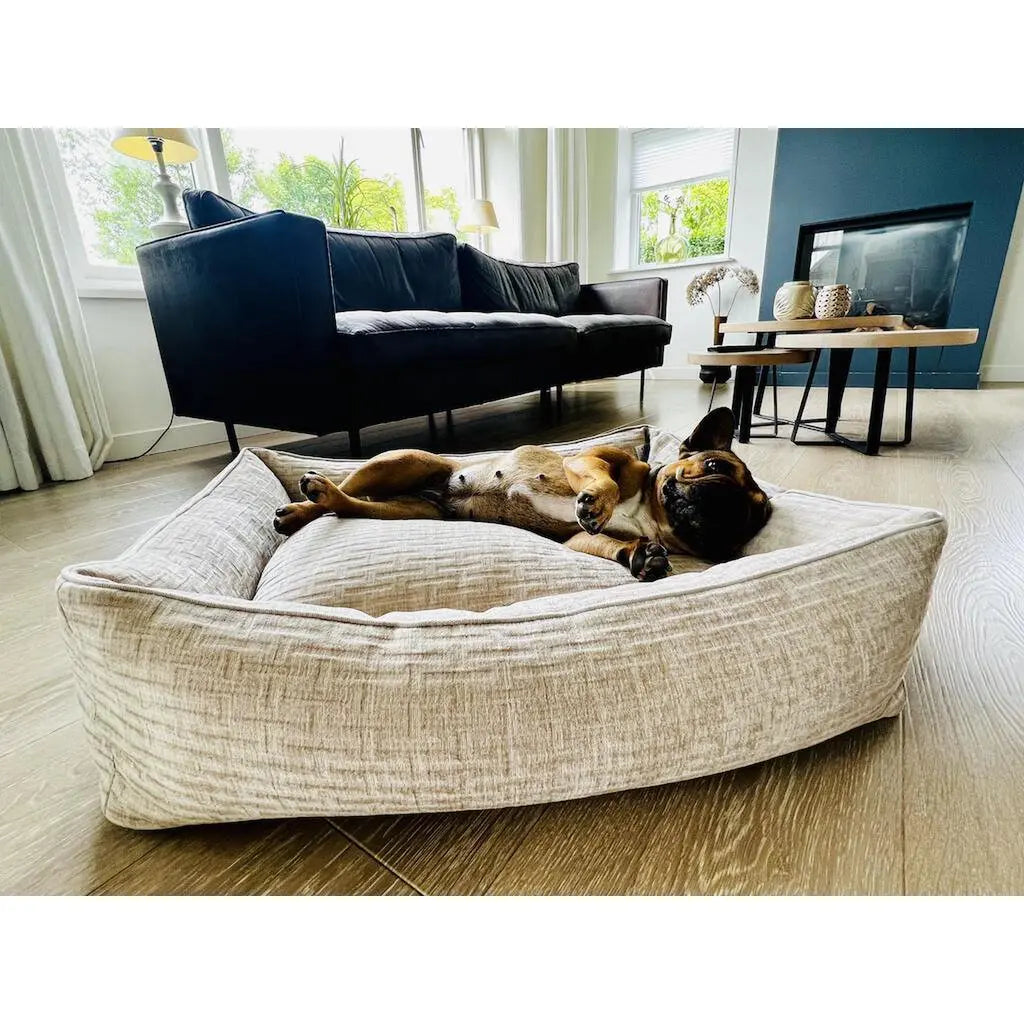 CLASSIC Hundebett - NOVA CREME LABONI