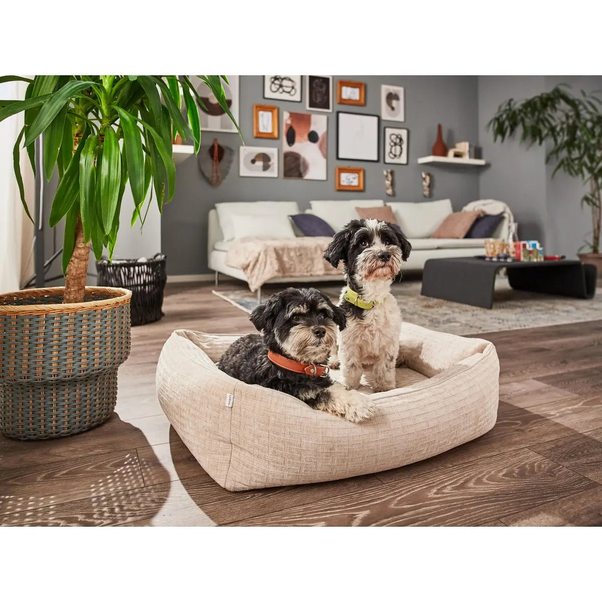 CLASSIC Hundebett - NOVA CREME LABONI