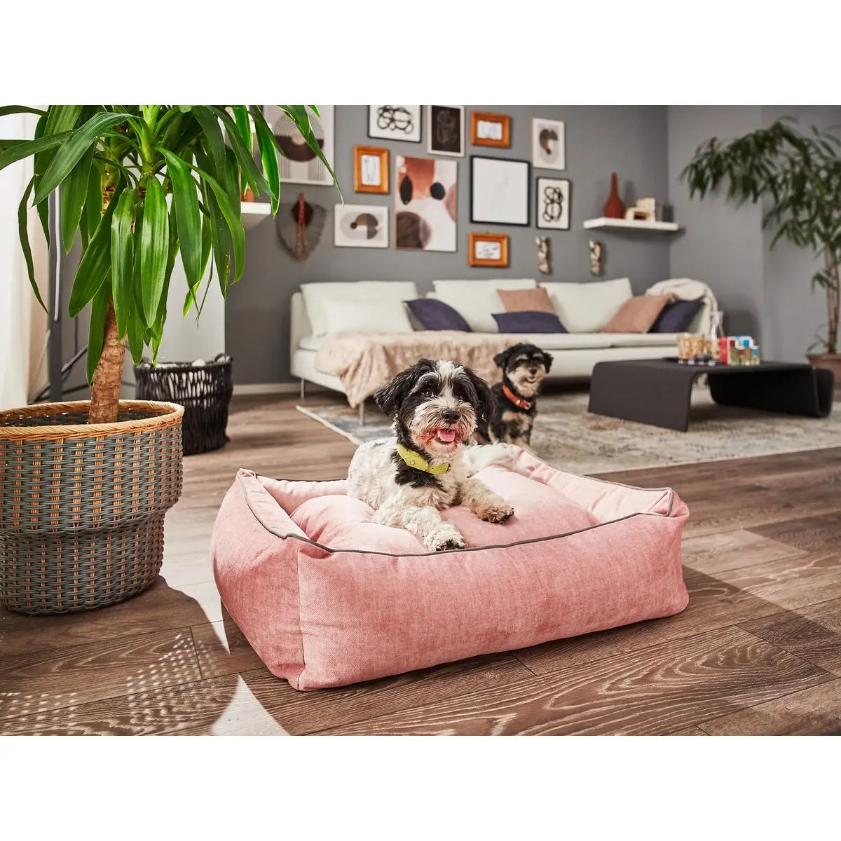 CLASSIC Hundebett - GLAM ROSE LABONI