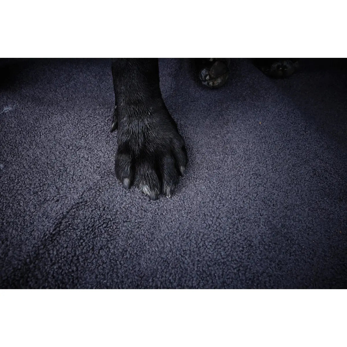 Decke TEDDY GREY - Multifunktions-Decke LABONI