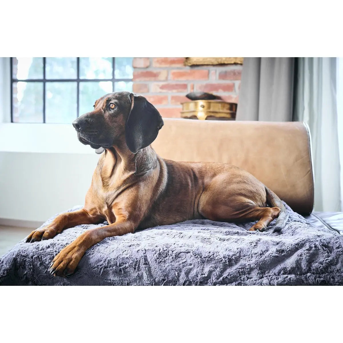 Decke COZY STONE - Edle Webpelz-Decke LABONI