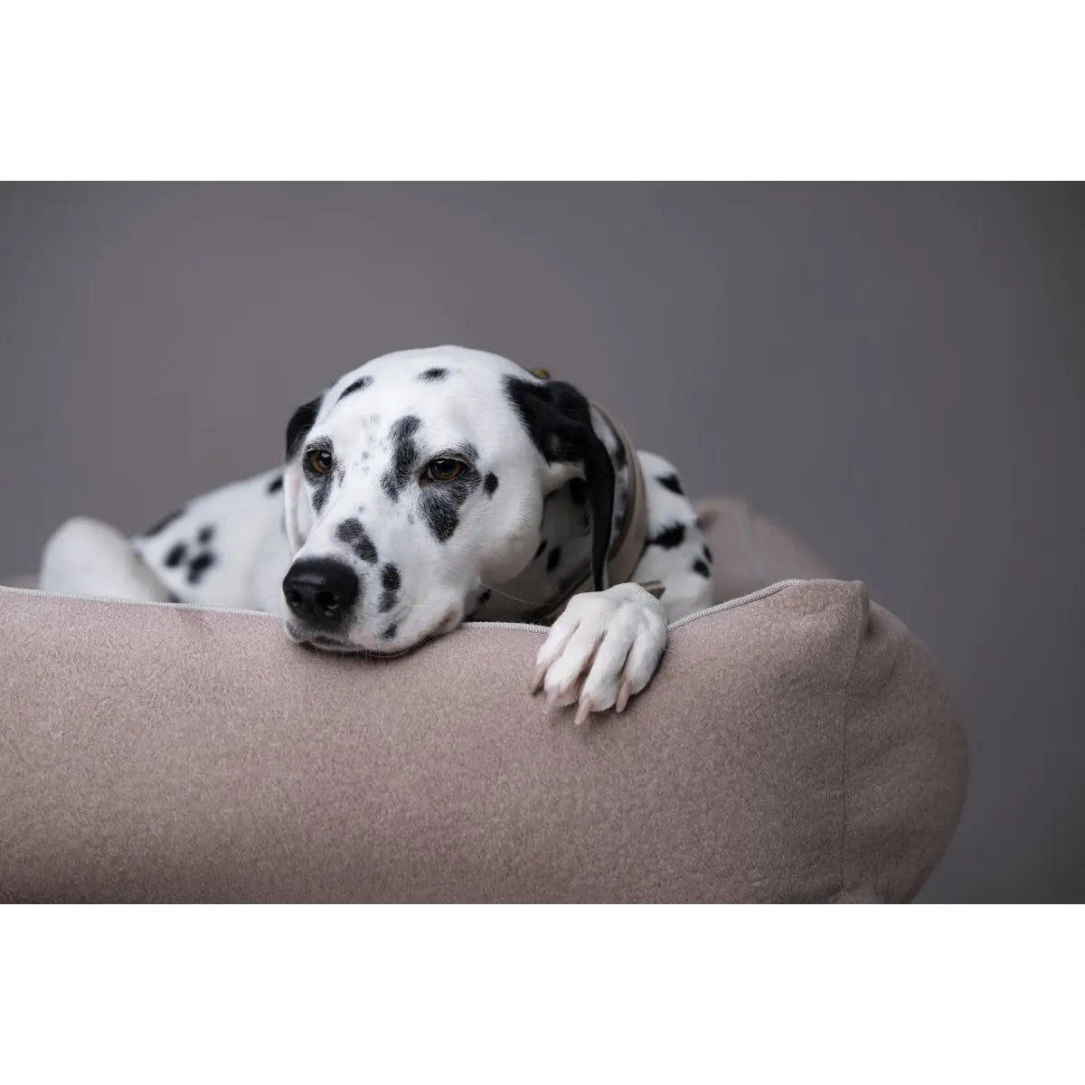 CLASSIC Hundebett - BUFFALO CREME LABONI