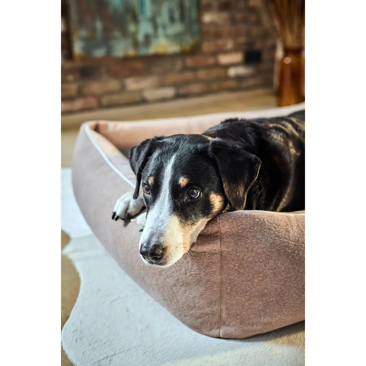 CLASSIC Hundebett - BUFFALO CREME LABONI