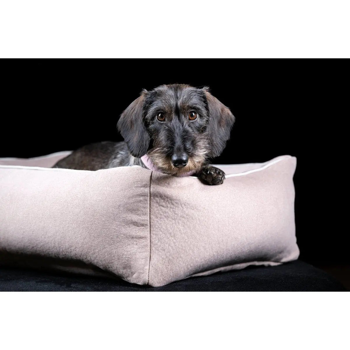 CLASSIC Hundebett - BUFFALO CREME LABONI