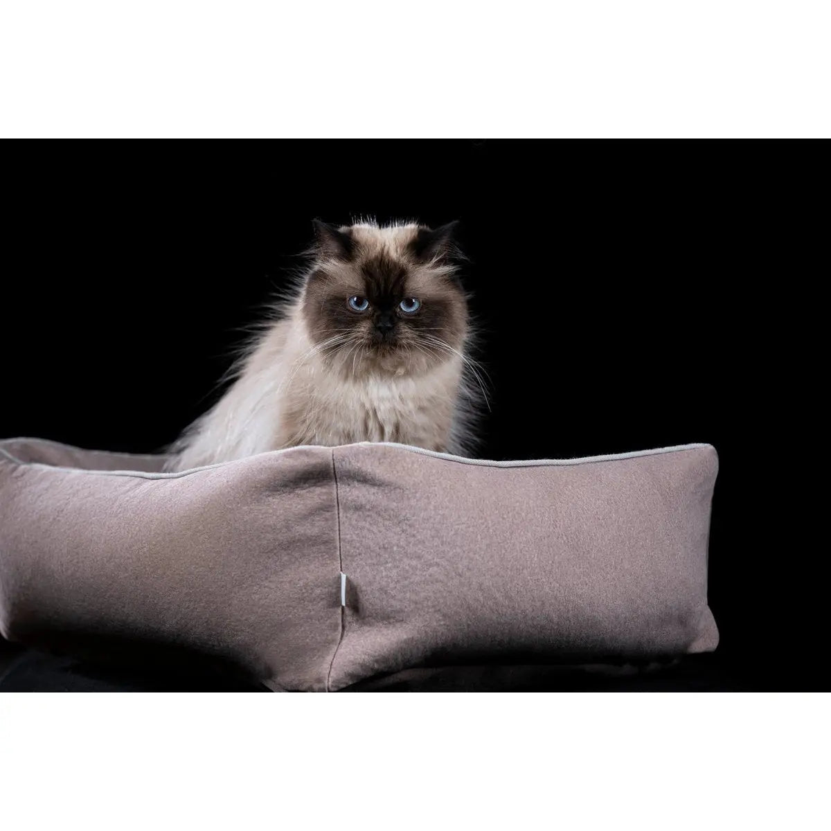 CLASSIC Hundebett - BUFFALO CREME LABONI