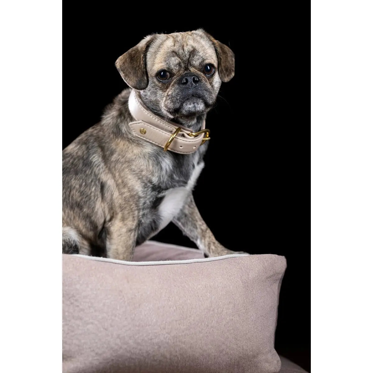 CLASSIC Hundebett - BUFFALO CREME LABONI