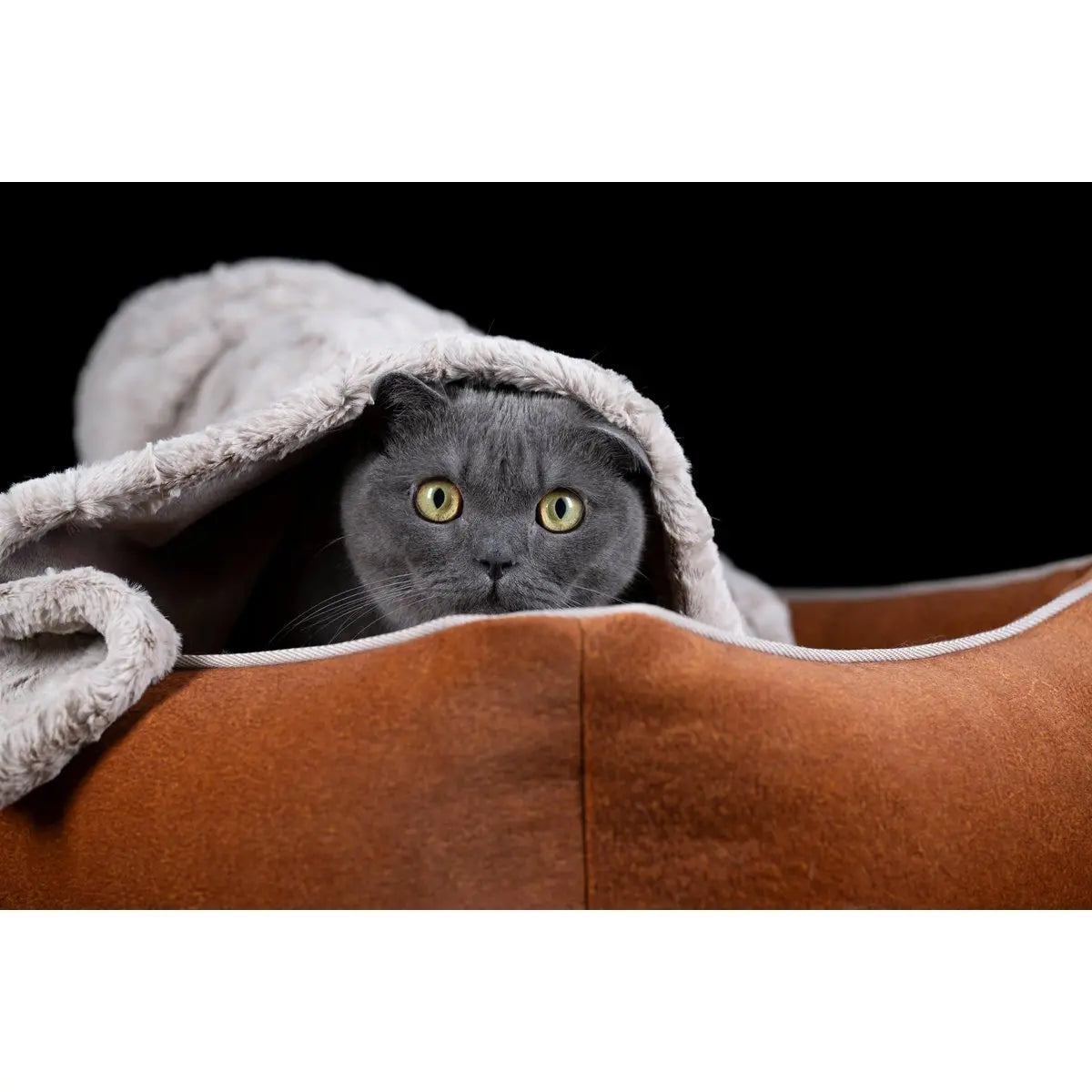 CLASSIC Hundebett - BUFFALO CAMEL LABONI