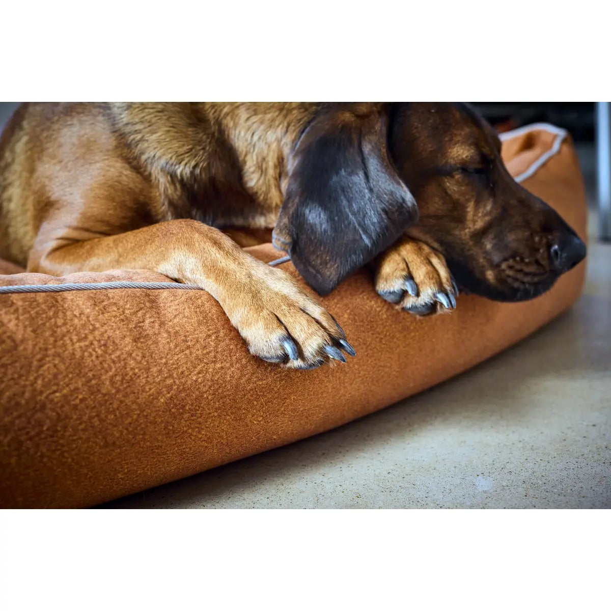CLASSIC Hundebett - BUFFALO CAMEL LABONI