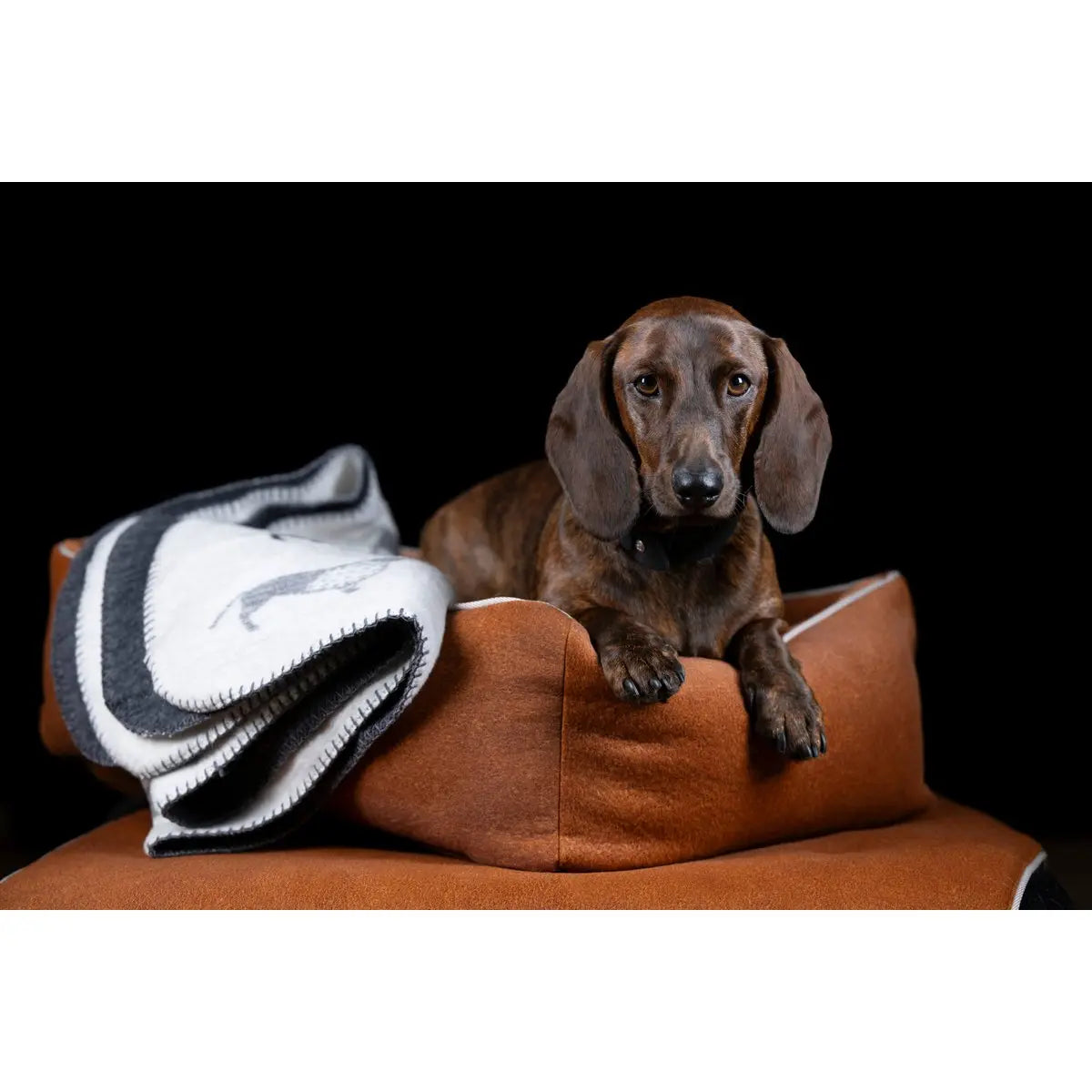 CLASSIC Hundebett - BUFFALO CAMEL LABONI