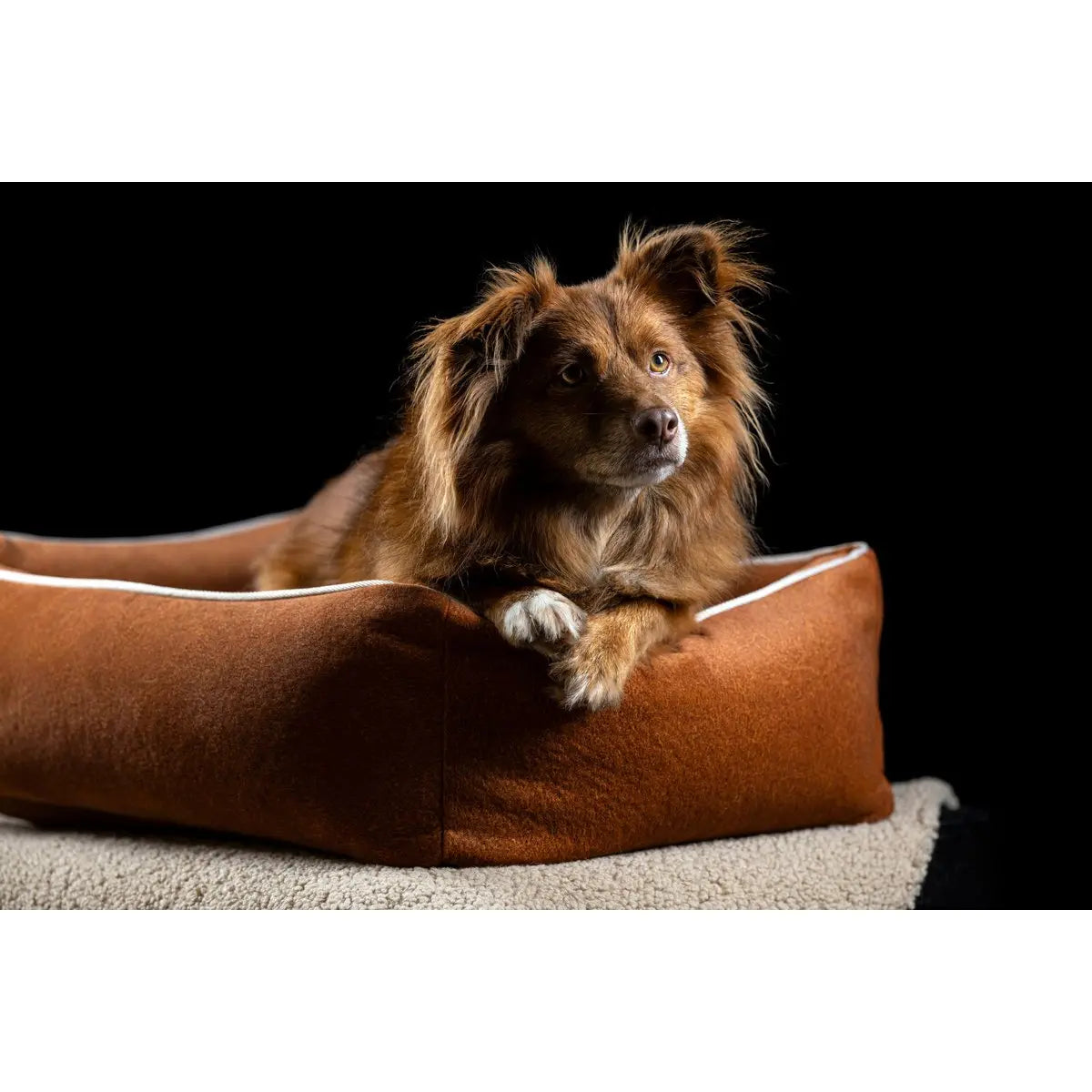 CLASSIC Hundebett - BUFFALO CAMEL LABONI