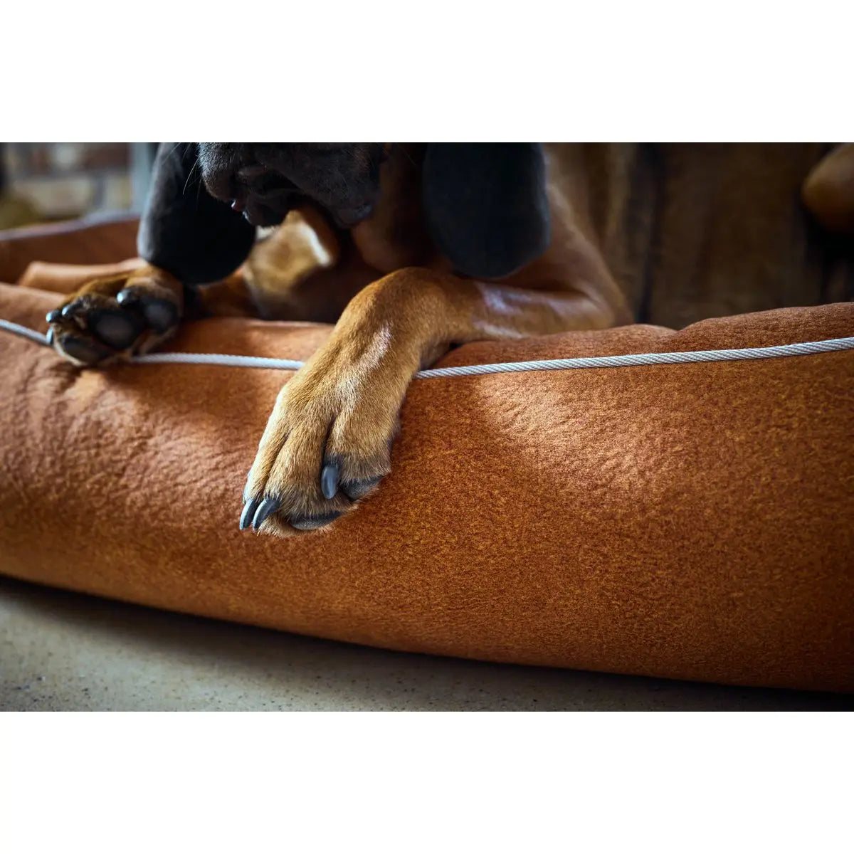 CLASSIC Hundebett - BUFFALO CAMEL LABONI