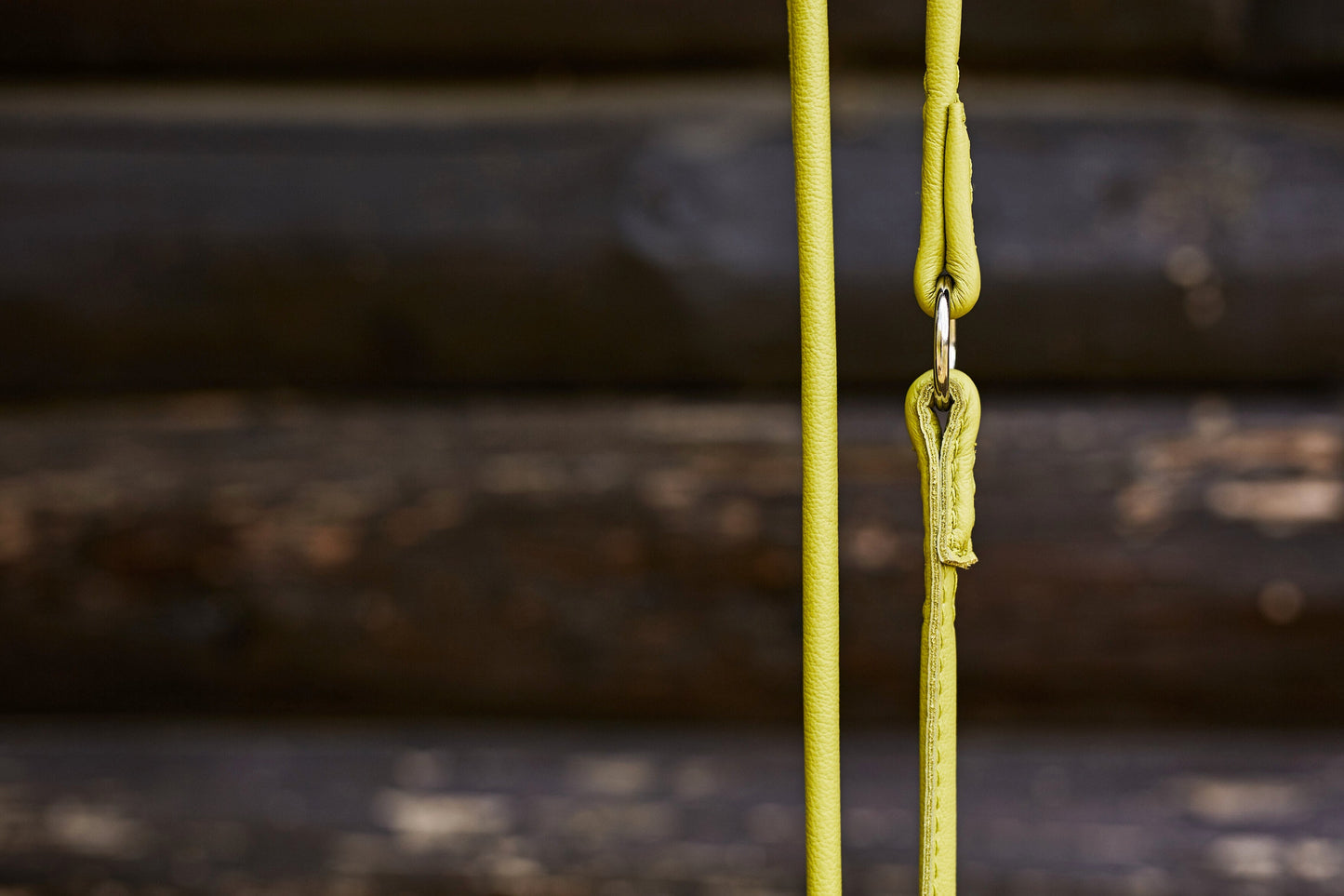 AMICI - Halsband-Leinen-Bundle in Lemon Pawdora