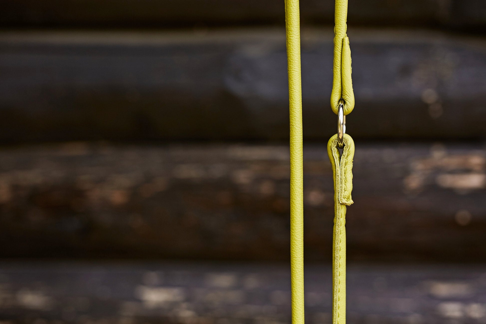 AMICI - Halsband-Leinen-Bundle in Lemon Pawdora