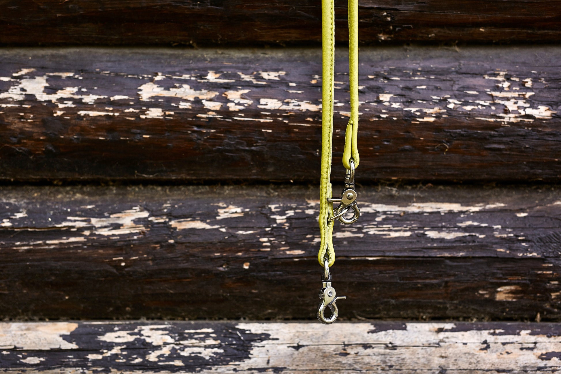 AMICI - Halsband-Leinen-Bundle in Lemon Pawdora