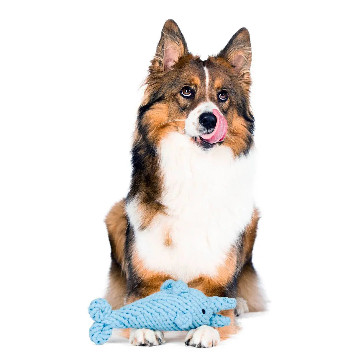 Big Ocean - Spielzeug-Set für Hunde LABONI