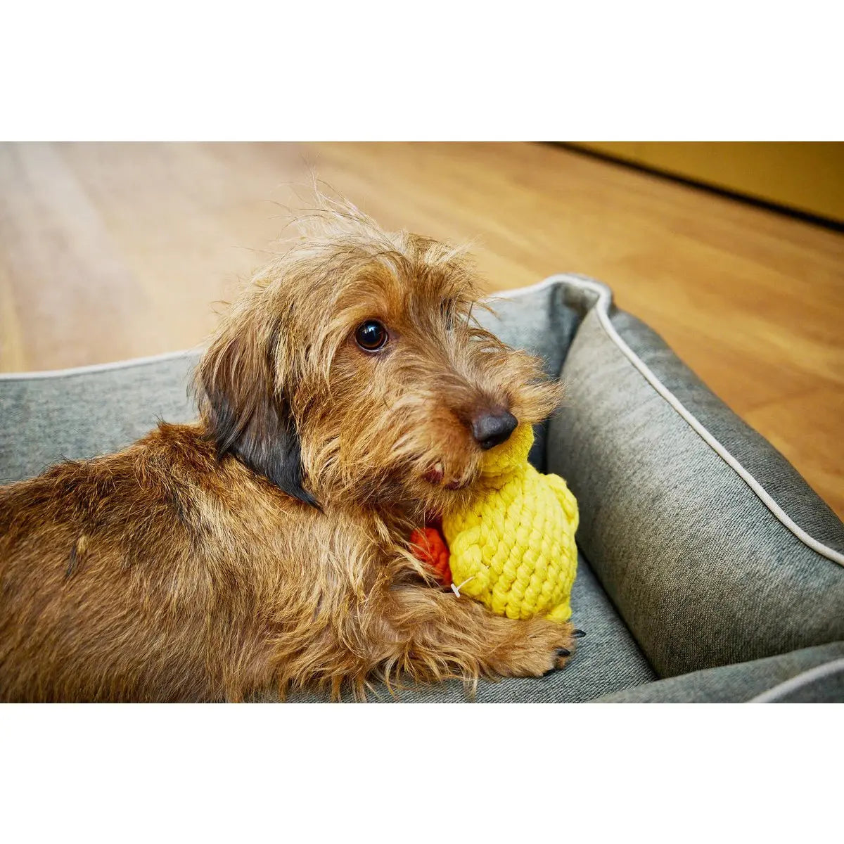 LABONI Farm - Spielzeug-Set für Hunde LABONI