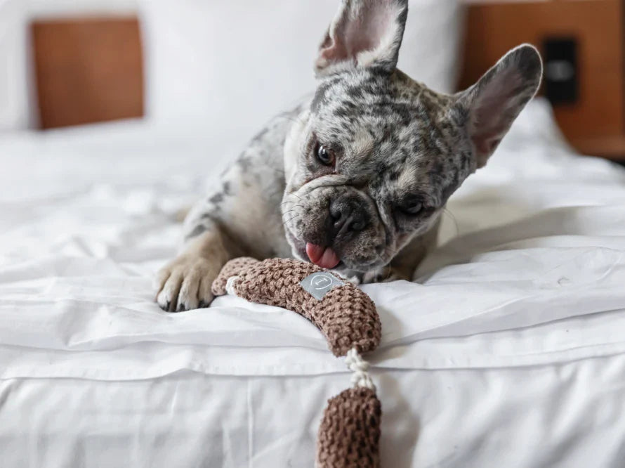 WÜRSTCHEN Hundespielzeug / interaktives Plüschtier / sanftes Rascheln HARLEY & CHO