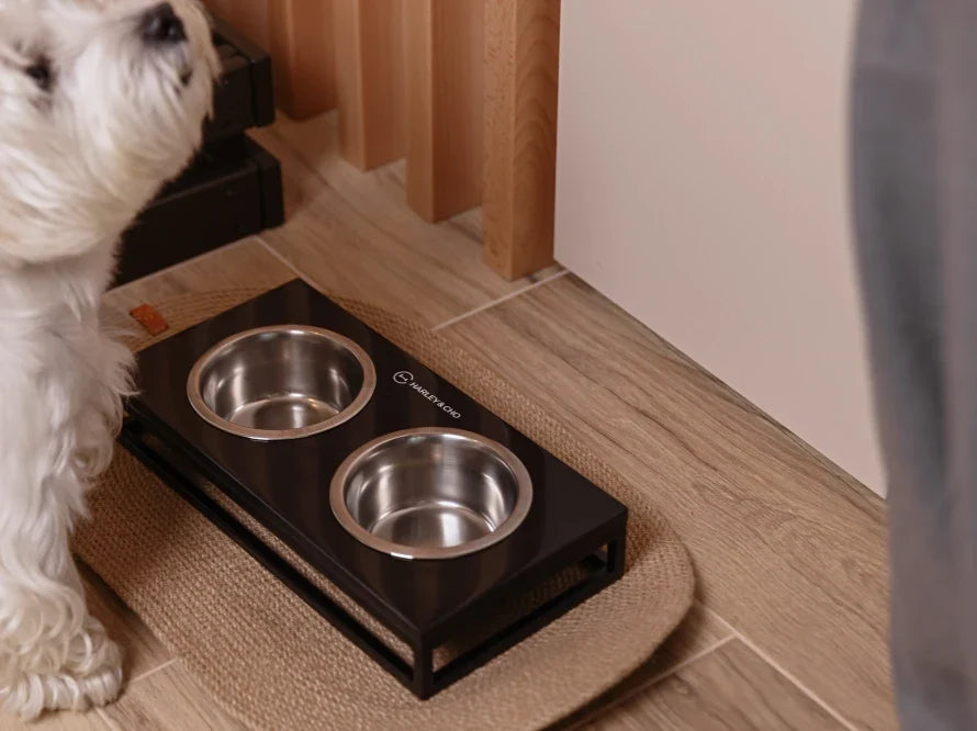 LUNCH BAR Katzennapf / Kunststein Napfständer mit zwei Edelstahlnäpfen für Katzen / schwarzer Metallrahmen HARLEY & CHO