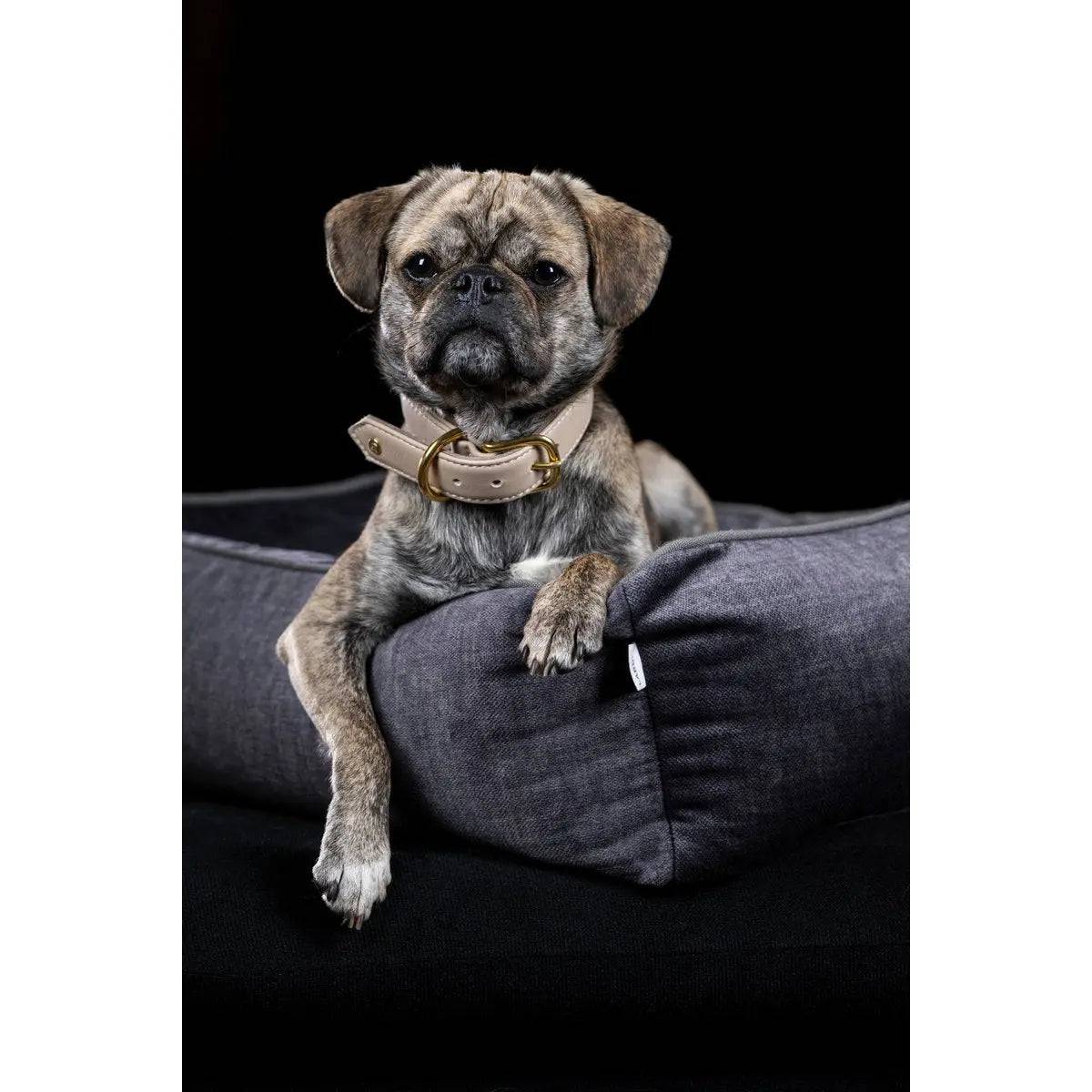 CLASSIC Hundebett - GLAM GRAPHITE LABONI