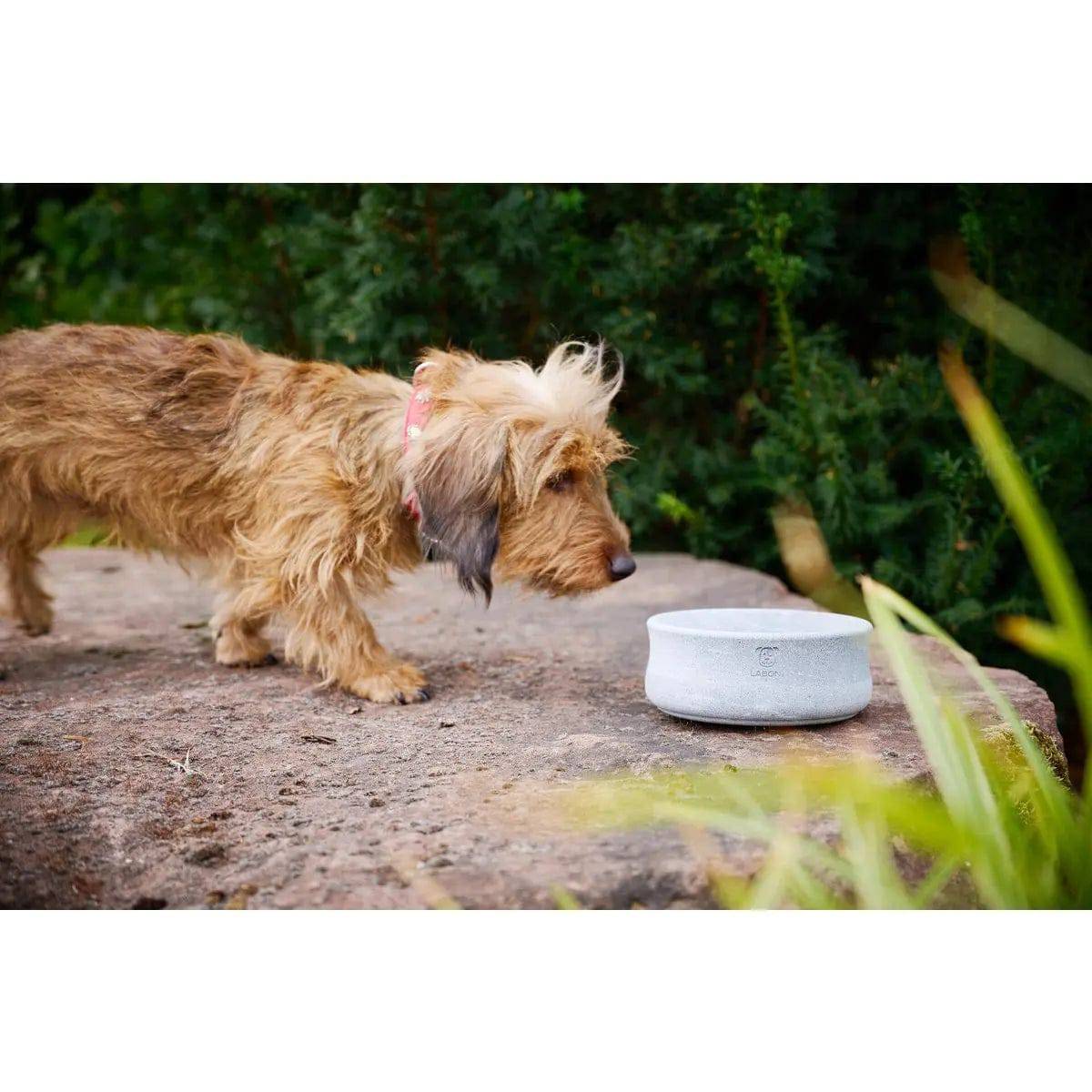 ROCKY - Edel-Napf für Hund und Katze LABONI