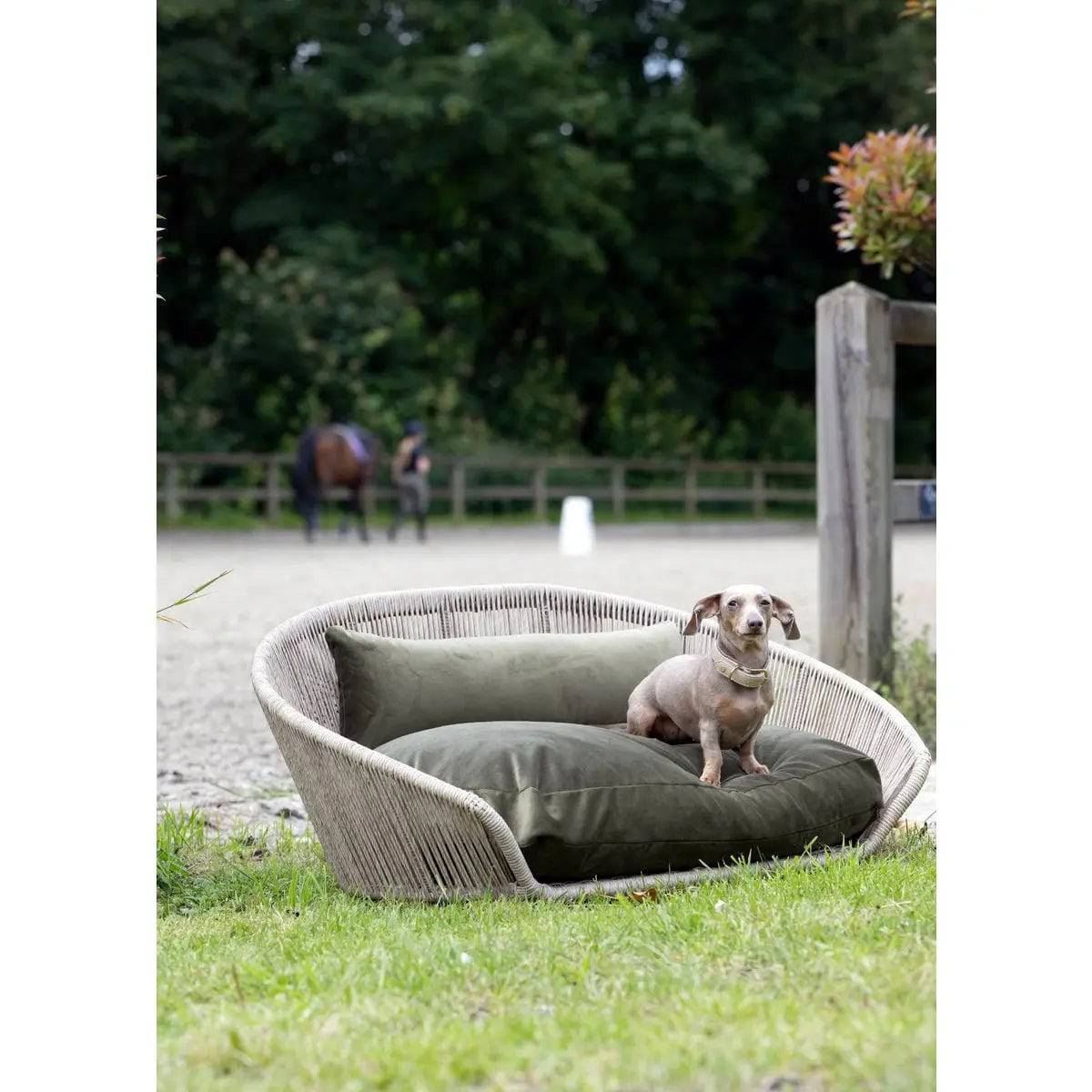 VOGUE - Design-Hundebett OXFORD LABONI