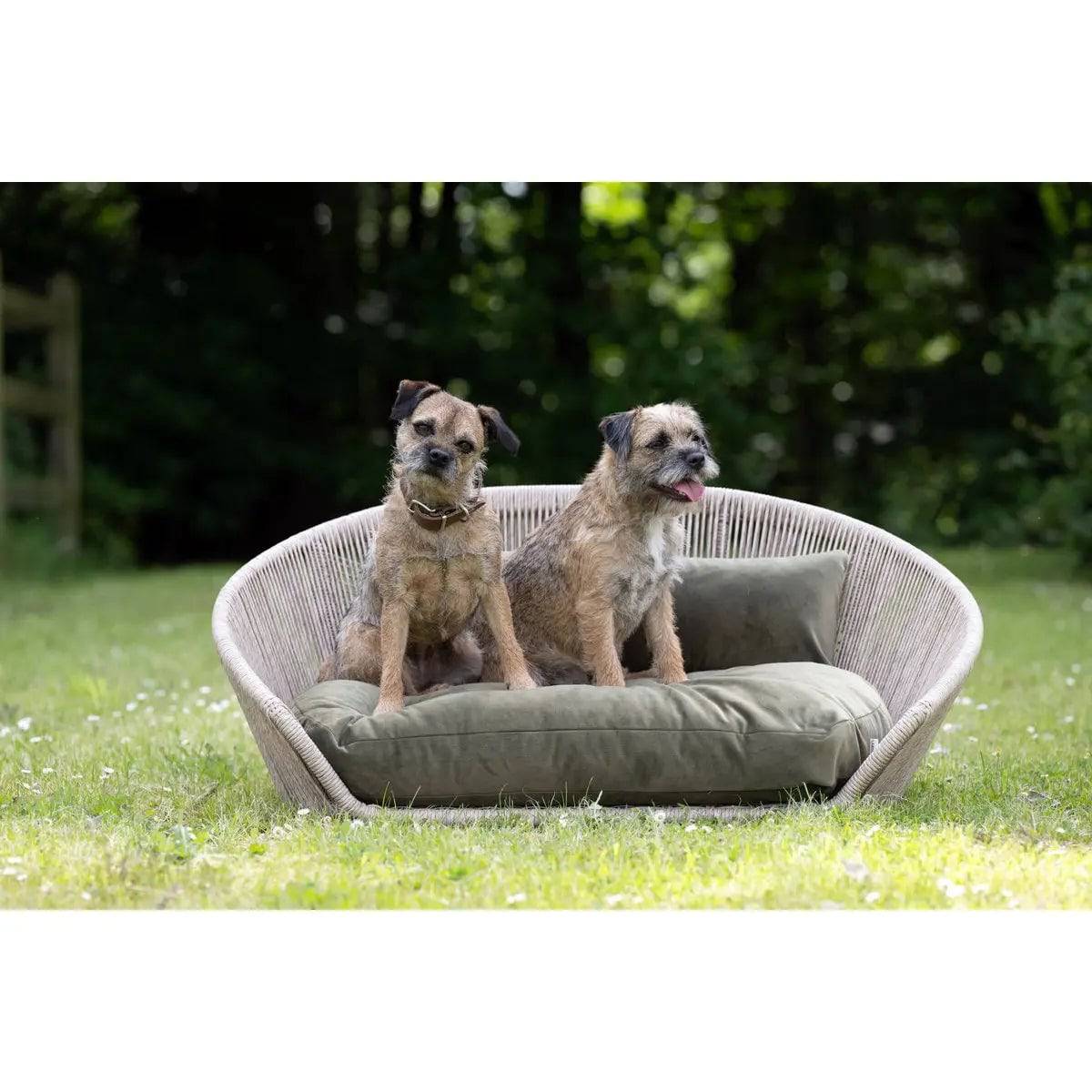 VOGUE - Design-Hundebett OXFORD LABONI