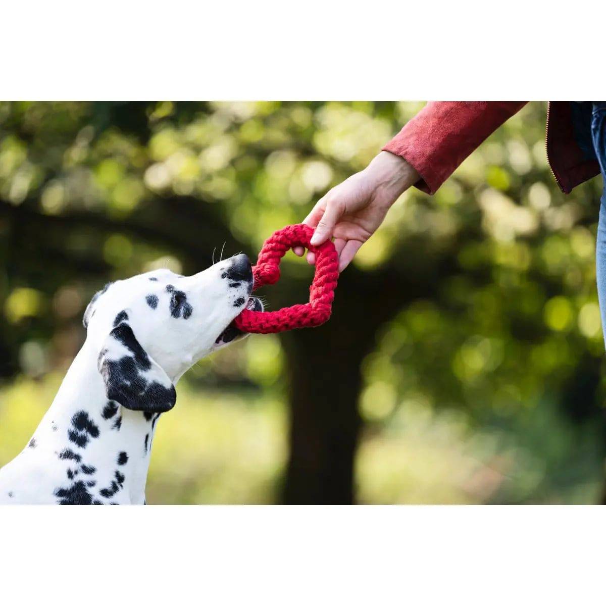 Madame LABONI - Spielzeug-Set für Hunde LABONI