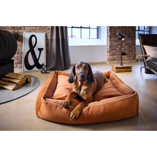 CLASSIC Hundebett - BUFFALO CAMEL LABONI