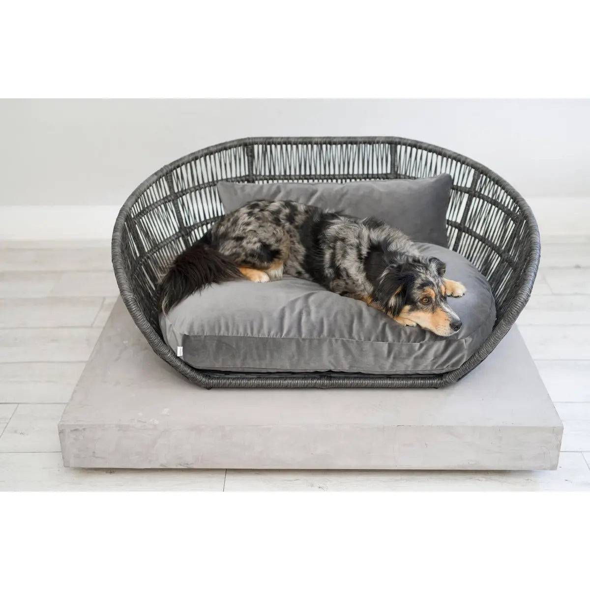 PRADO - Design-Hundebett OXFORD LABONI