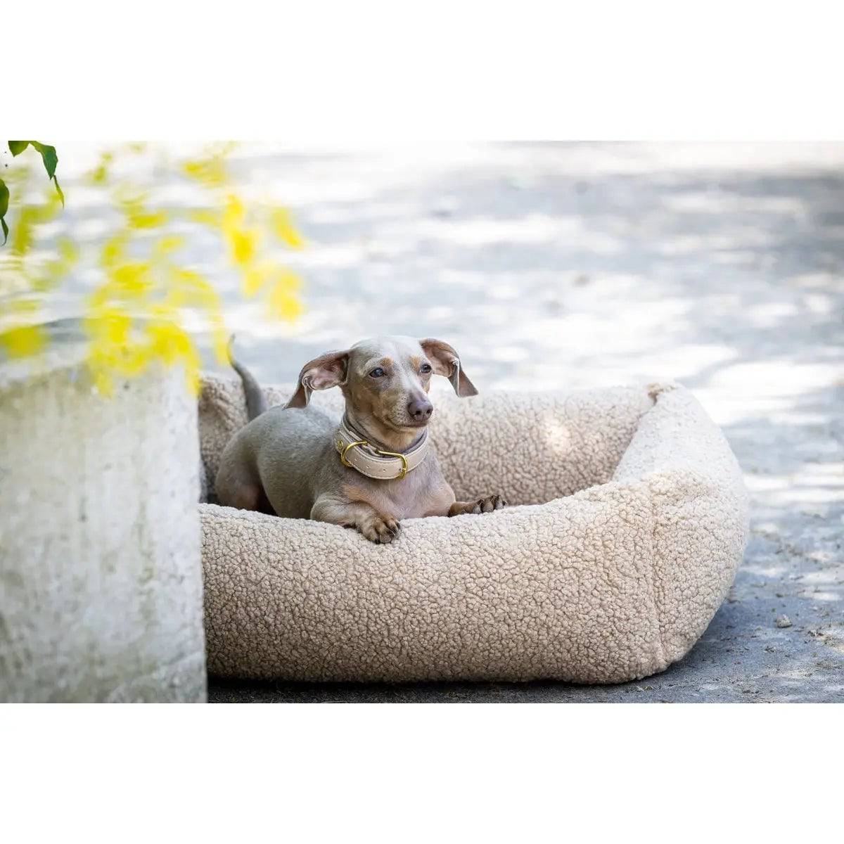 CLASSIC Hundebett - TEDDY CREME LABONI