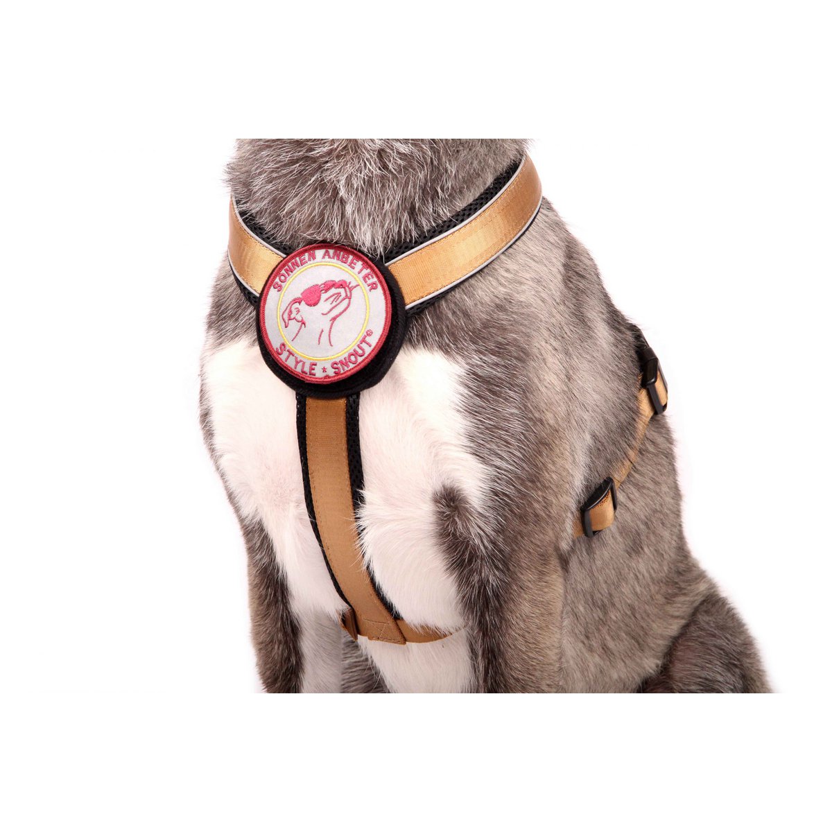 Brustgeschirr – Patch&Style – Gold StyleSnout GmbH