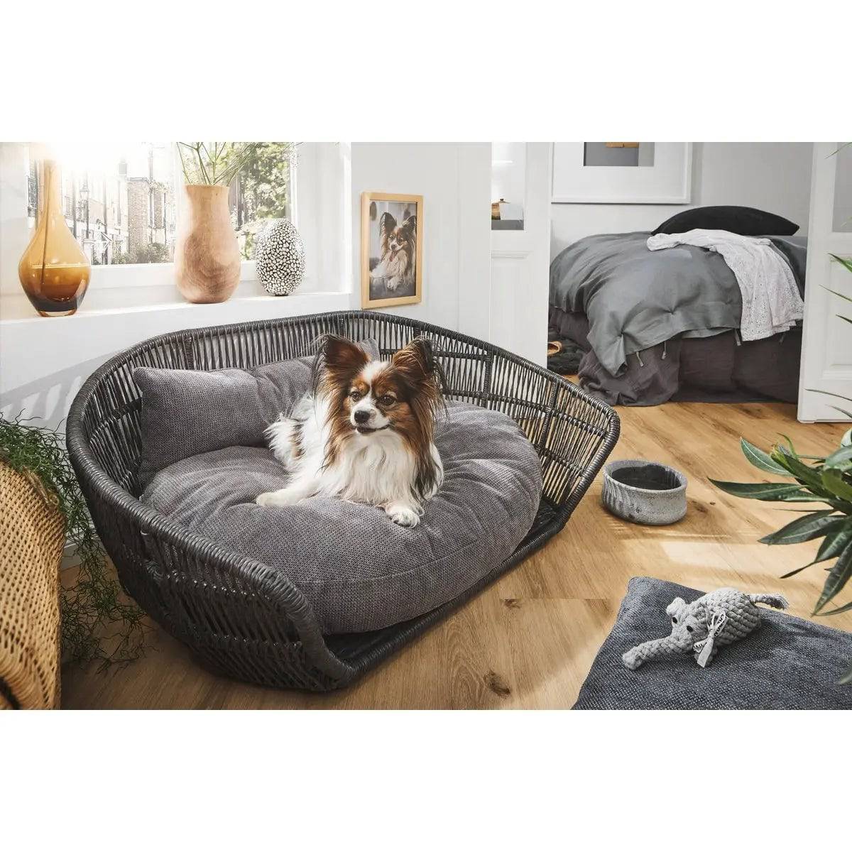 PRADO - Design-Hundebett TUDOR LABONI