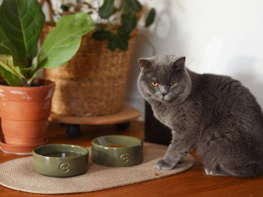 KATZENNAPF aus Keramik / Kugelboden / Handgefertigt HARLEY & CHO