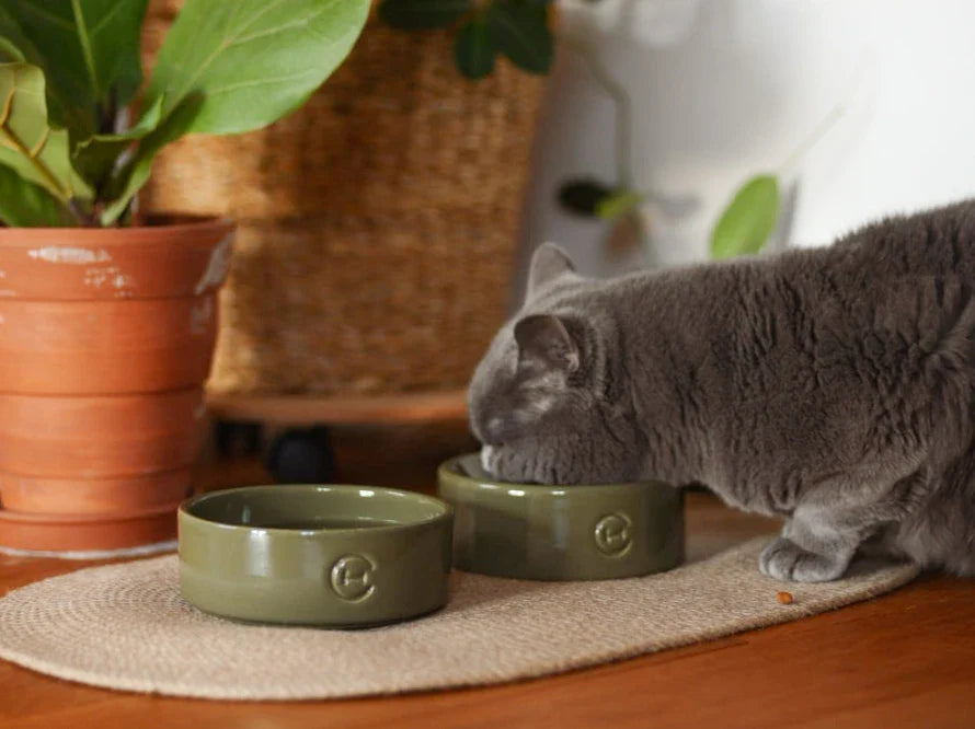 KATZENNAPF aus Keramik / Kugelboden / Handgefertigt HARLEY & CHO