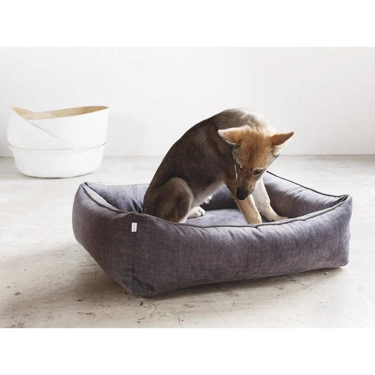 ORTHO Hundebett - GLAM GRAPHITE LABONI