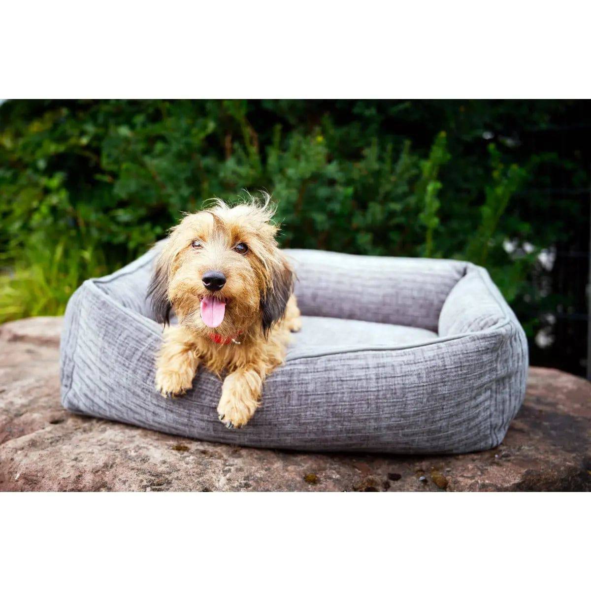 CLASSIC Hundebett - NOVA STONE LABONI