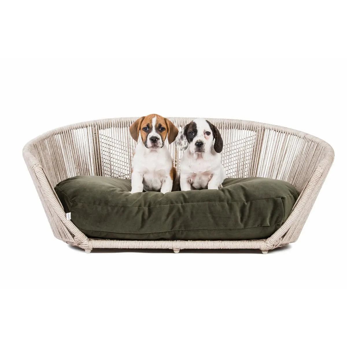 VOGUE - Design-Hundebett OXFORD LABONI