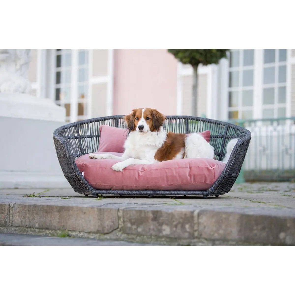 PRADO - Design-Hundebett OXFORD LABONI