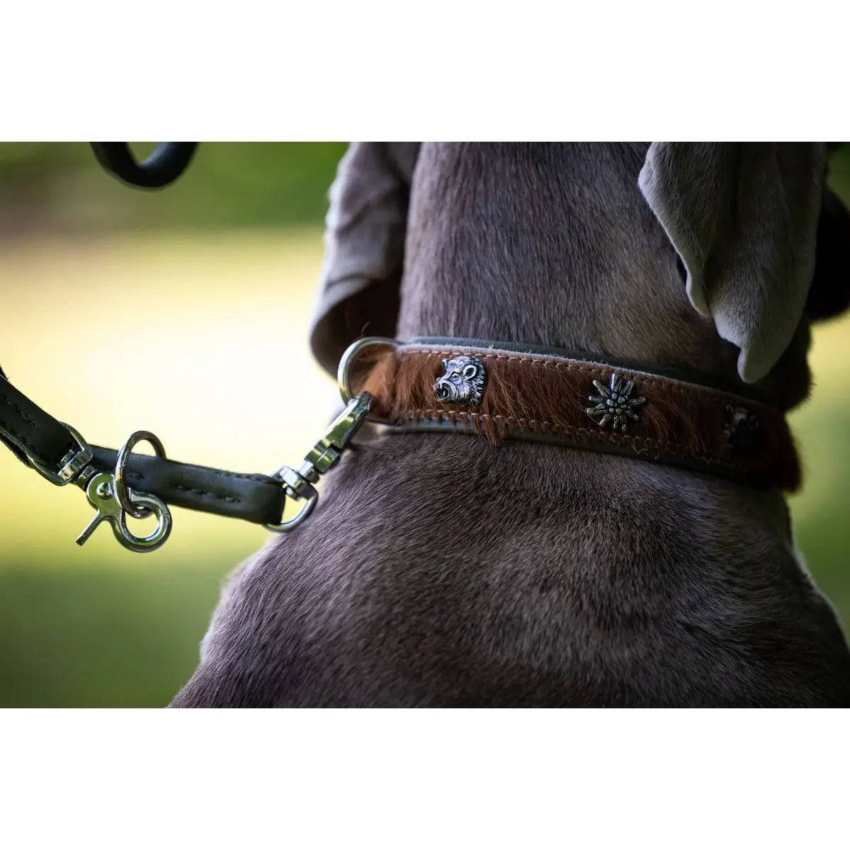 BAVARIA - Exklusives Hundehalsband im aufregenden Material-Mix LABONI